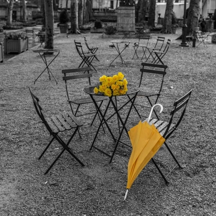 Picture of BUNCH OF ROSES AND UMBRELLA ON TABLE AND CHAIR AT THE PARK, NEW YORK