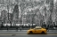 Picture of CAB ON NEW YORK CITY STREET