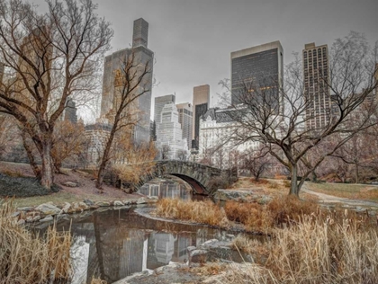 Picture of CENTRAL PARK AND MANHATTAN SKYLINE, NEW YORK