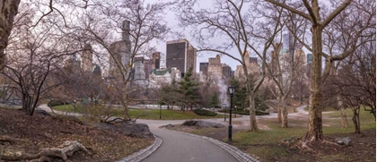 Picture of PATHWAY THROUGH CENTRAL PARK, NEW YORK