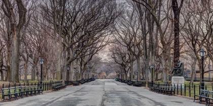 Picture of PATHWAY THROUGH CENTRAL PARK, NEW YORK