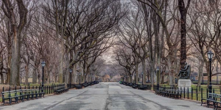 Picture of PATHWAY THROUGH CENTRAL PARK, NEW YORK