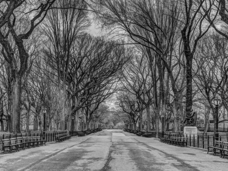 Picture of PATHWAY THROUGH CENTRAL PARK, NEW YORK