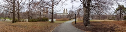 Picture of PATHWAY THROUGH CENTRAL PARK, NEW YORK