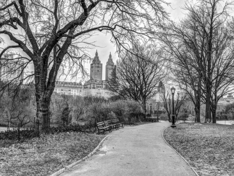 Picture of CENTRAL PARK WITH MANHATTAN SKYLINE, NEW YORK