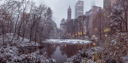 Picture of CENTRAL PARK WITH MANHATTAN SKYLINE, NEW YORK