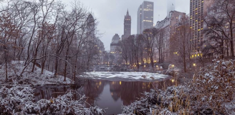 Picture of CENTRAL PARK WITH MANHATTAN SKYLINE, NEW YORK