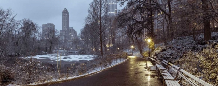 Picture of CENTRAL PARK WITH MANHATTAN SKYLINE, NEW YORK