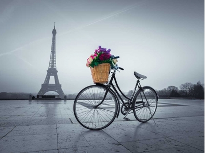 Picture of BICYCLE WITH A BASKET OF FLOWERS NEXT TO THE EIFFEL TOWER, PARIS, FRANCE