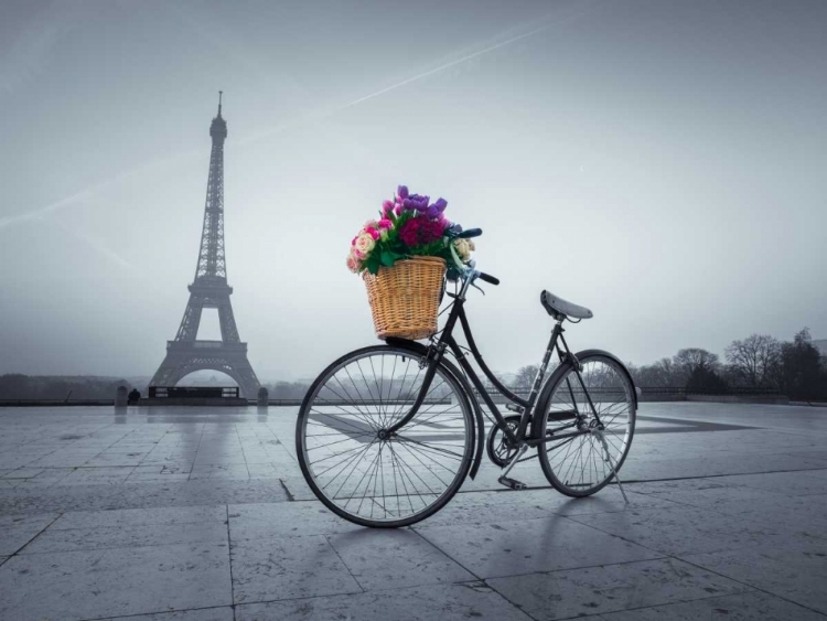 Picture of BICYCLE WITH A BASKET OF FLOWERS NEXT TO THE EIFFEL TOWER, PARIS, FRANCE