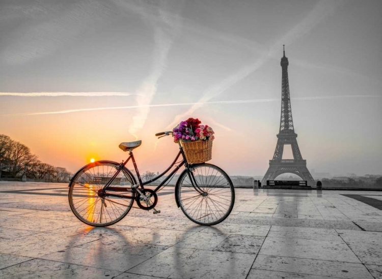 Picture of BICYCLE WITH A BASKET OF FLOWERS NEXT TO THE EIFFEL TOWER, PARIS, FRANCE