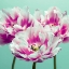 Picture of THREE TULIPS