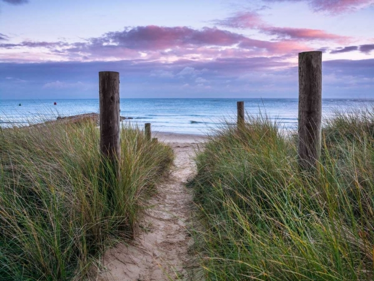 Picture of TRANQUIL BEACH