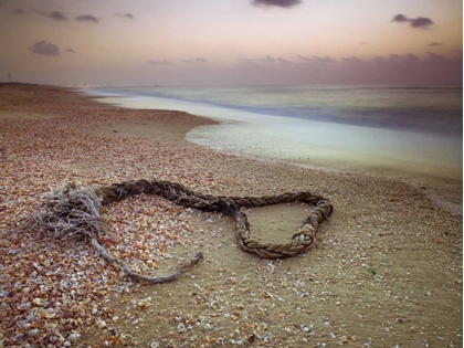 Picture of ROPE LYING ON BEACH