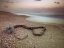Picture of ROPE LYING ON BEACH