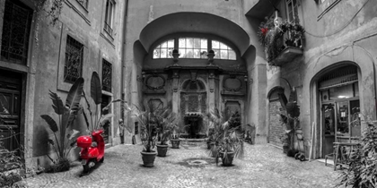 Picture of OLD FASHIONED HOUSE WITH POTTED PLANTS AND SCOOTER, ROME, ITALY