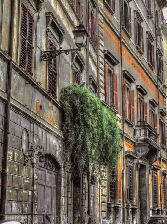 Picture of OLD BUILDING IN CITY OF ROME, ITALY