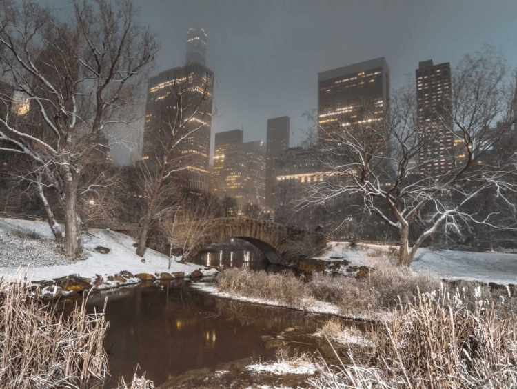 Picture of CENTRAL PARK WITH MANHATTAN SKYLINE, NEW YORK