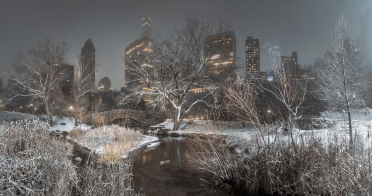 Picture of CENTRAL PARK WITH MANHATTAN SKYLINE, NEW YORK