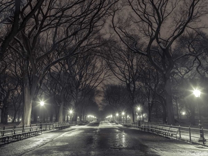 Picture of CENTRAL PARK WITH MANHATTAN SKYLINE, NEW YORK