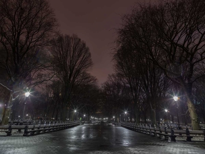 Picture of CENTRAL PARK AT NIGHT, NEW YORK