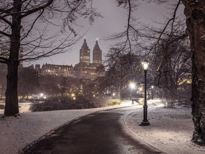 Picture of CENTRAL PARK WITH MANHATTAN SKYLINE, NEW YORK