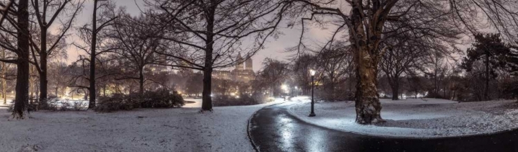 Picture of CENTRAL PARK WITH MANHATTAN SKYLINE, NEW YORK