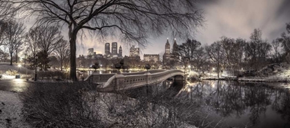 Picture of CENTRAL PARK WITH MANHATTAN SKYLINE, NEW YORK