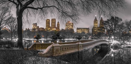 Picture of CENTRAL PARK WITH MANHATTAN SKYLINE, NEW YORK