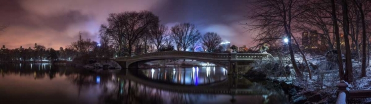 Picture of CENTRAL PARK WITH MANHATTAN SKYLINE, NEW YORK