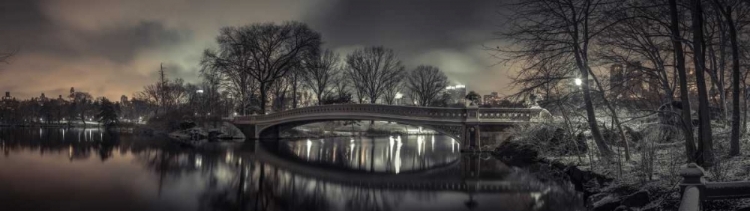 Picture of CENTRAL PARK WITH MANHATTAN SKYLINE, NEW YORK