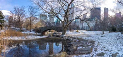 Picture of CENTRAL PARK WITH LOWER MANHATTAN SKYLINE, NEW YORK