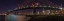 Picture of MANHATTAN BRIDGE AND LOWER MANHATTAN SKYLINE, NEW YORK
