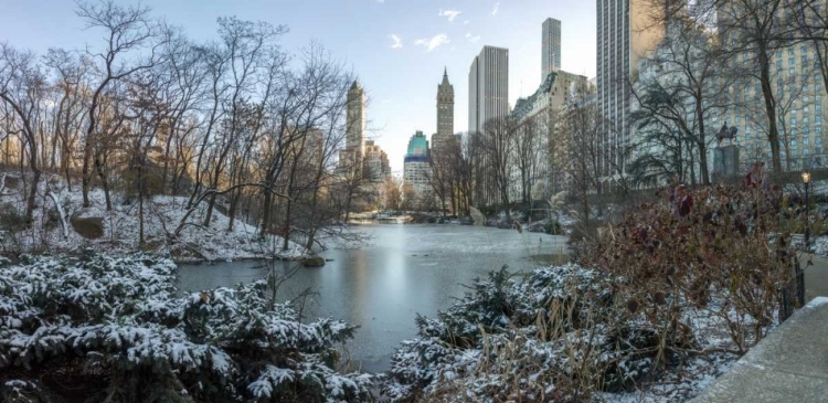 Picture of CENTRAL PARK WITH LOWER MANHATTAN SKYLINE, NEW YORK