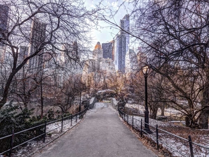 Picture of PATHWAY THROUGH CENTRAL PARK, NEW YORK