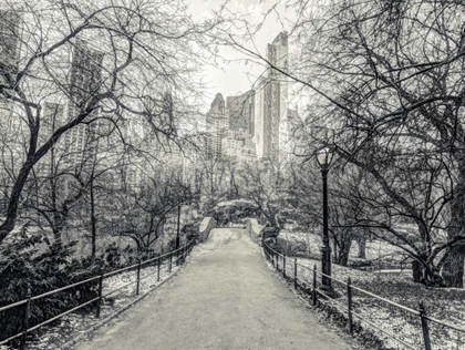 Picture of PATHWAY THROUGH CENTRAL PARK, NEW YORK
