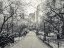 Picture of PATHWAY THROUGH CENTRAL PARK, NEW YORK