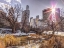 Picture of CENTRAL PARK WITH LOWER MANHATTAN SKYLINE, NEW YORK