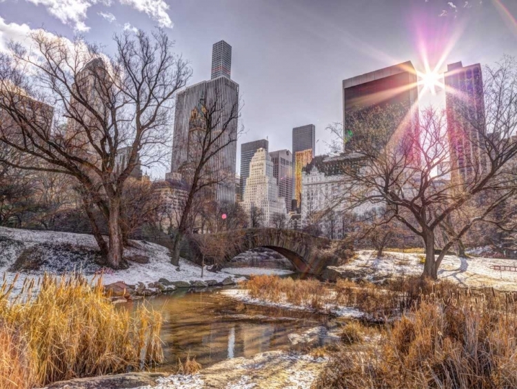 Picture of CENTRAL PARK WITH LOWER MANHATTAN SKYLINE, NEW YORK