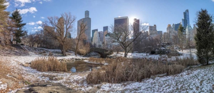 Picture of CENTRAL PARK WITH LOWER MANHATTAN SKYLINE, NEW YORK