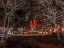 Picture of NEW YORK CITY STRET IN NIGHT