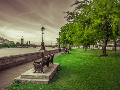 Picture of BENCH AT THE PARK BY THE RIVER THAMES, LONDON, UK