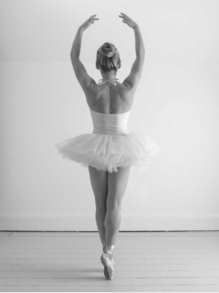 Picture of YOUNG FEMALE BALLERINA