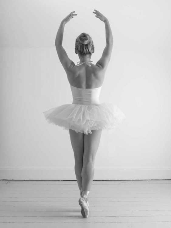 Picture of YOUNG FEMALE BALLERINA