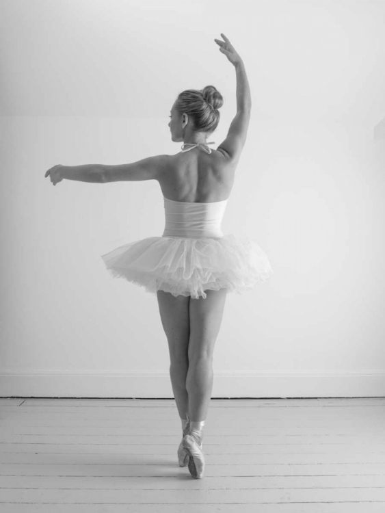 Picture of YOUNG FEMALE BALLERINA