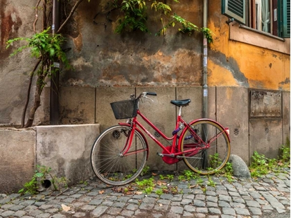 Picture of BICYCLE OUTSIDE OLD BUILDING, ROME, ITALY