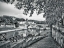 Picture of TIBER RIVER THROUGH THE CITY OF ROME, ITALY