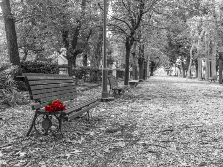 Picture of BUNCH OF ROSES ON A PARK BENCH IN ROME, ITALY