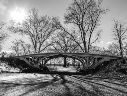 Picture of WALKWAY BRIDGE IN CENTRAL PARK, NEW YORK