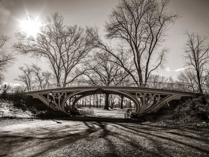 Picture of WALKWAY BRIDGE IN CENTRAL PARK, NEW YORK